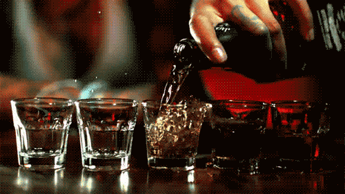 tumblr_o1qg7blV1n1r3a6jho1_500.gif