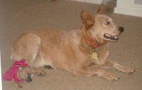 rusty1.jpg