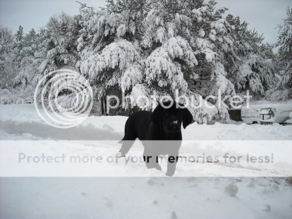 DSCN0330.jpg