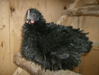 HPIM0332.jpg