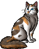 Poppyfrost.warrior.png