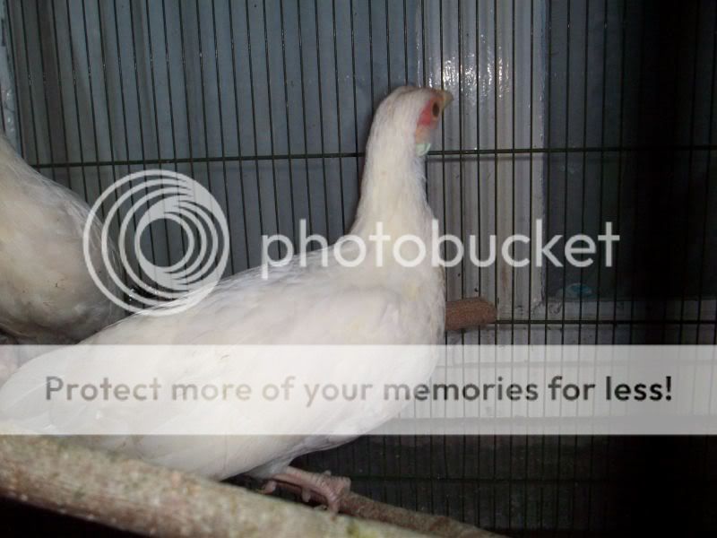100_8864.jpg