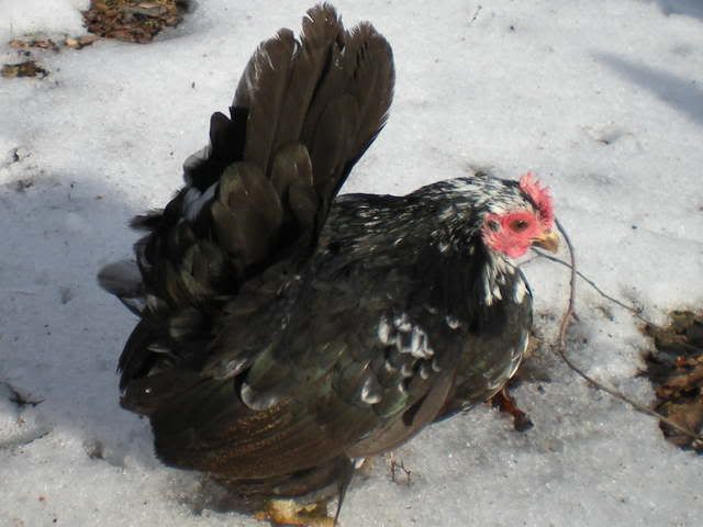 RSCN0044.jpg