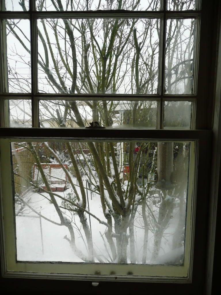 P1010091.jpg