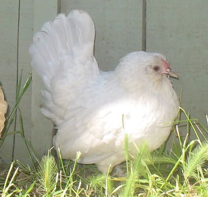 5-19-09004.jpg