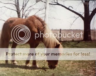 12-27-2008-19-04-13-625.jpg