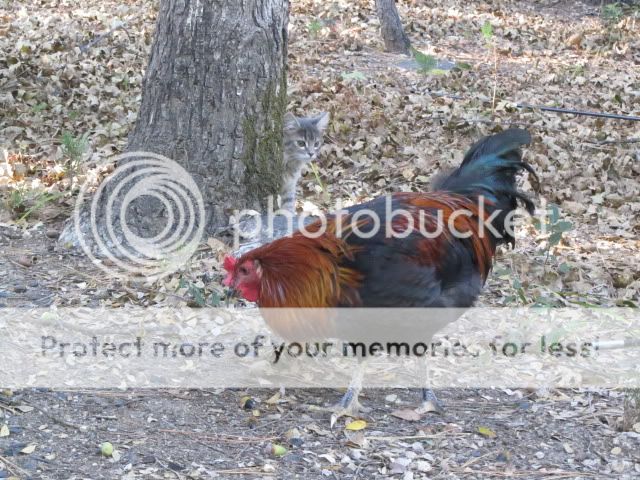 IMG_2931.jpg