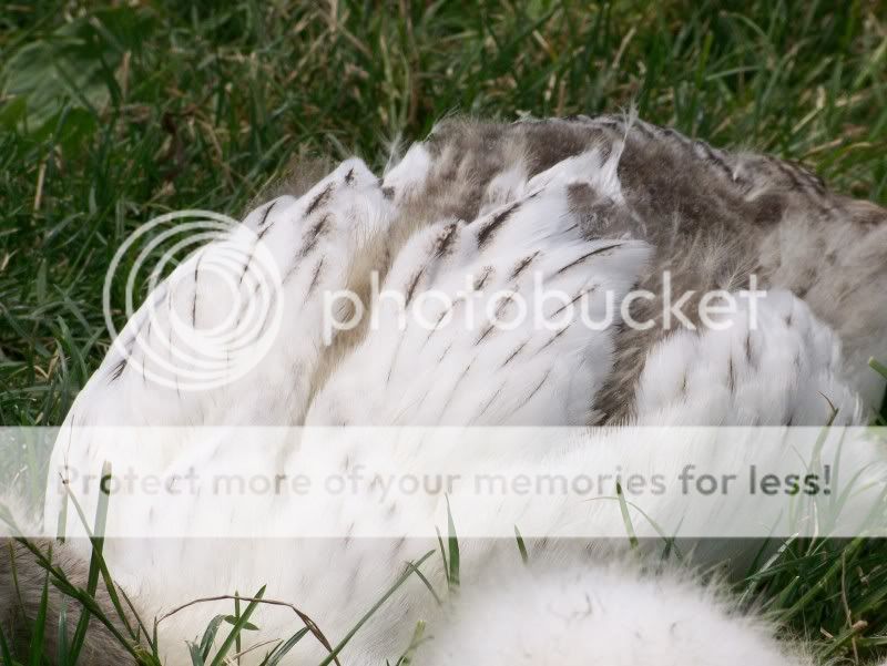100_6028.jpg