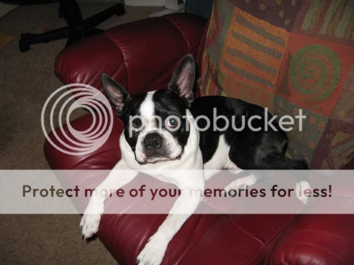 winston.jpg