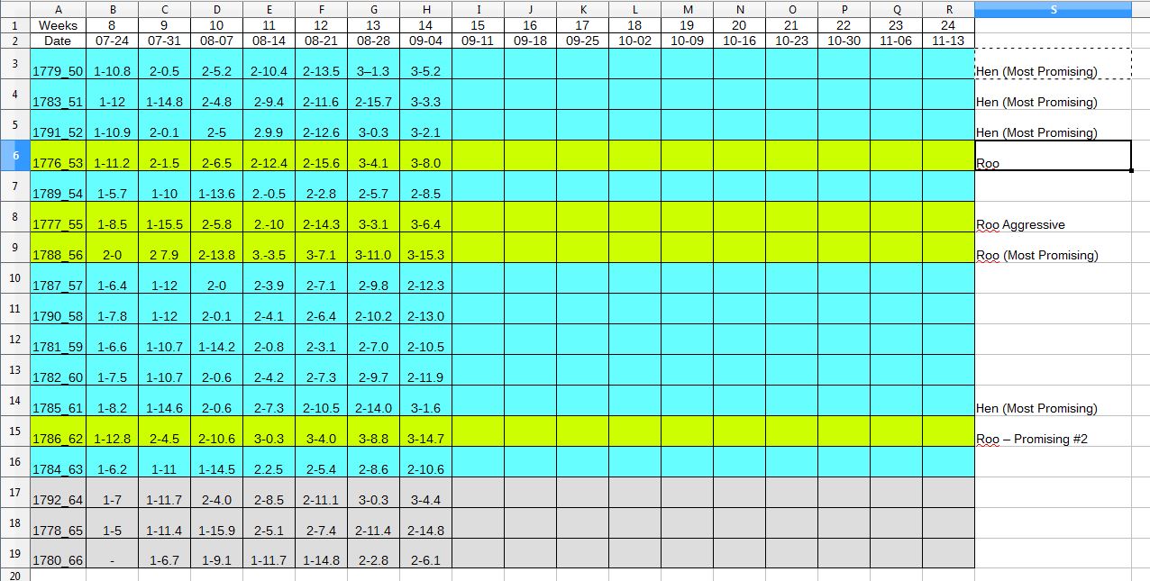 9-04.jpg