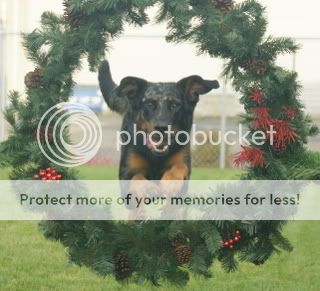 christmaswreath.jpg