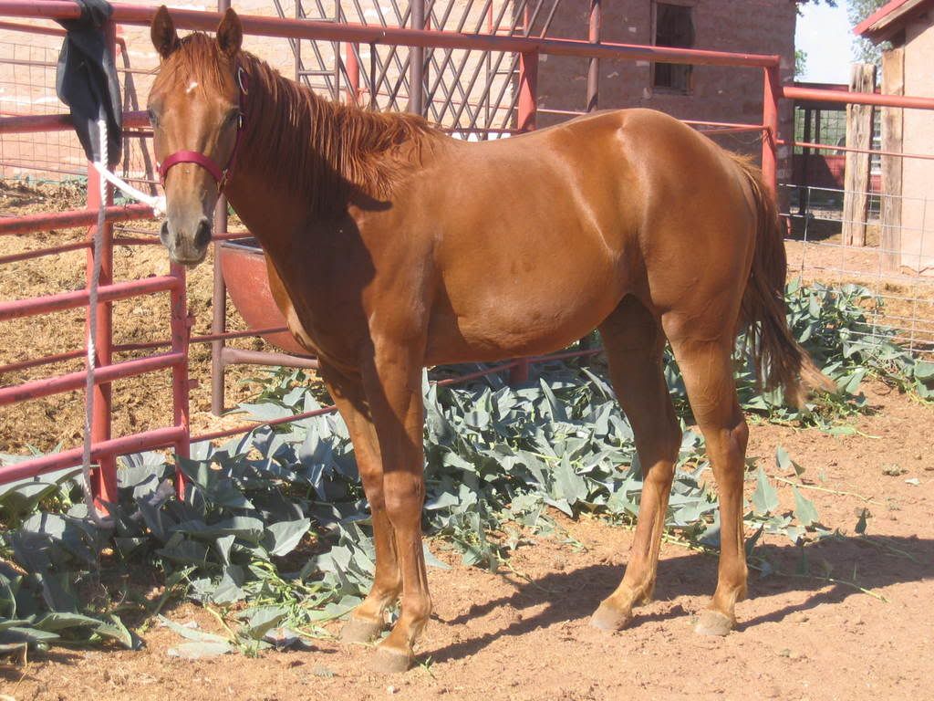 04-20-08015.jpg