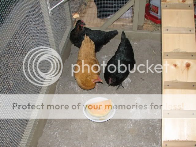 IMG_5970.jpg