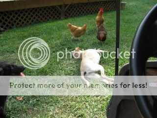IMG_1187.jpg