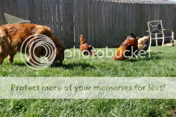 IMG_4049.jpg