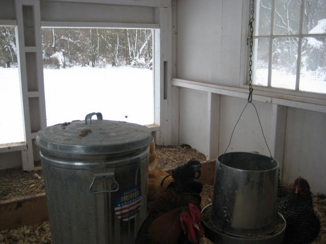 900x900px-LL-3f863edb_55557_img_1364.jpeg