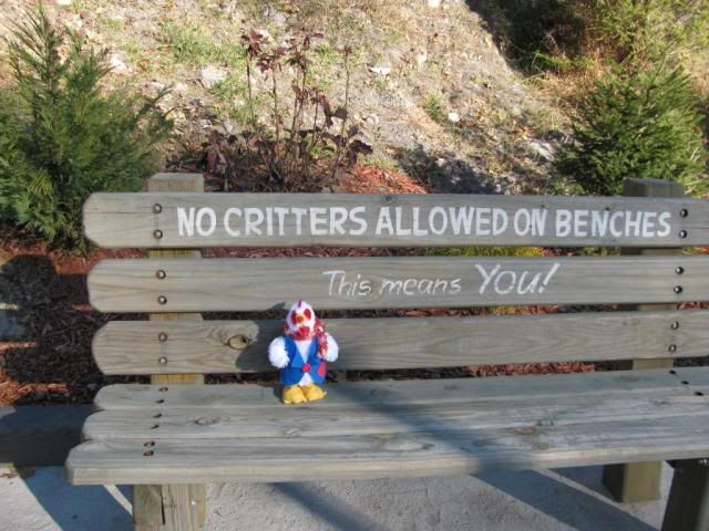 Breakrules.jpg
