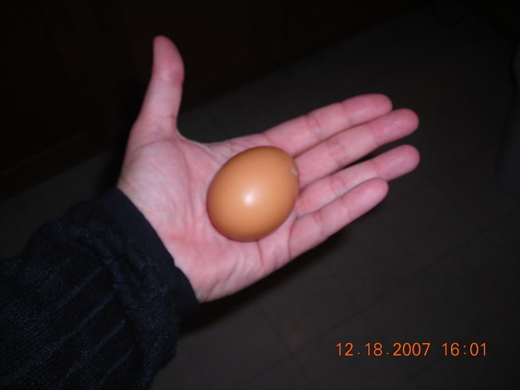 DSCN1656.jpg