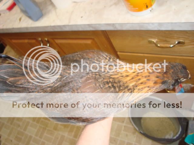 DSC02120.jpg