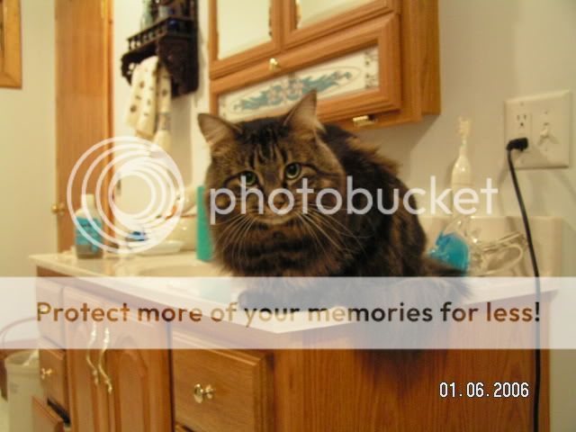 PICT0741.jpg