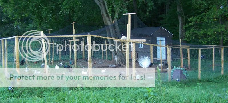 100_2063.jpg