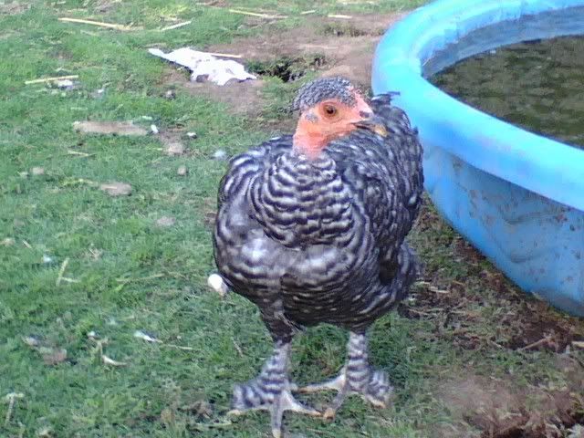 0615082005.jpg