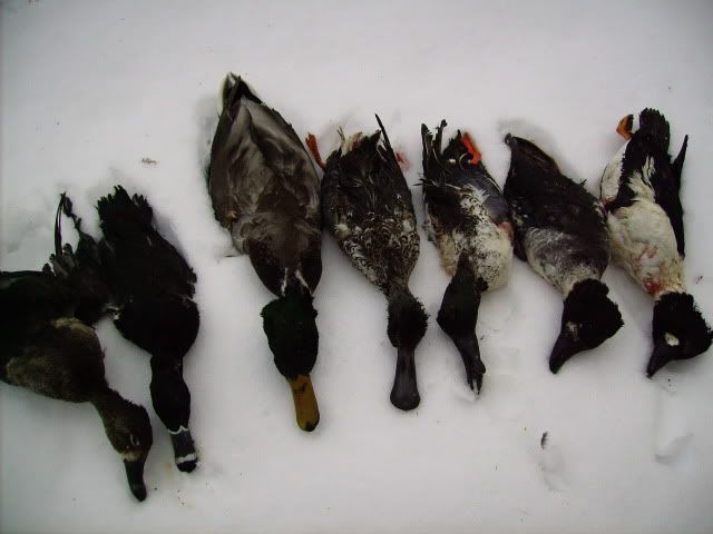 001-10.jpg