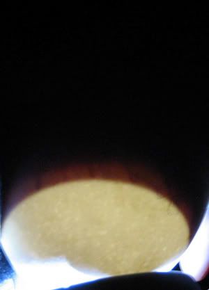 IMG_1863.jpg