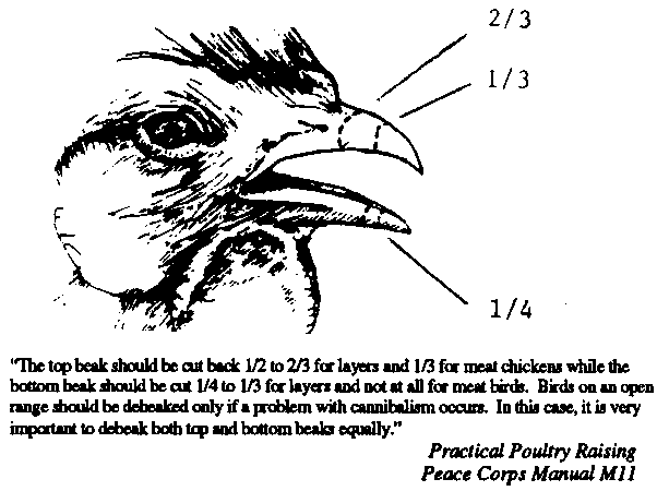 debeak_diagram.gif
