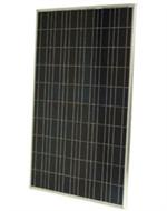 198watt.jpg