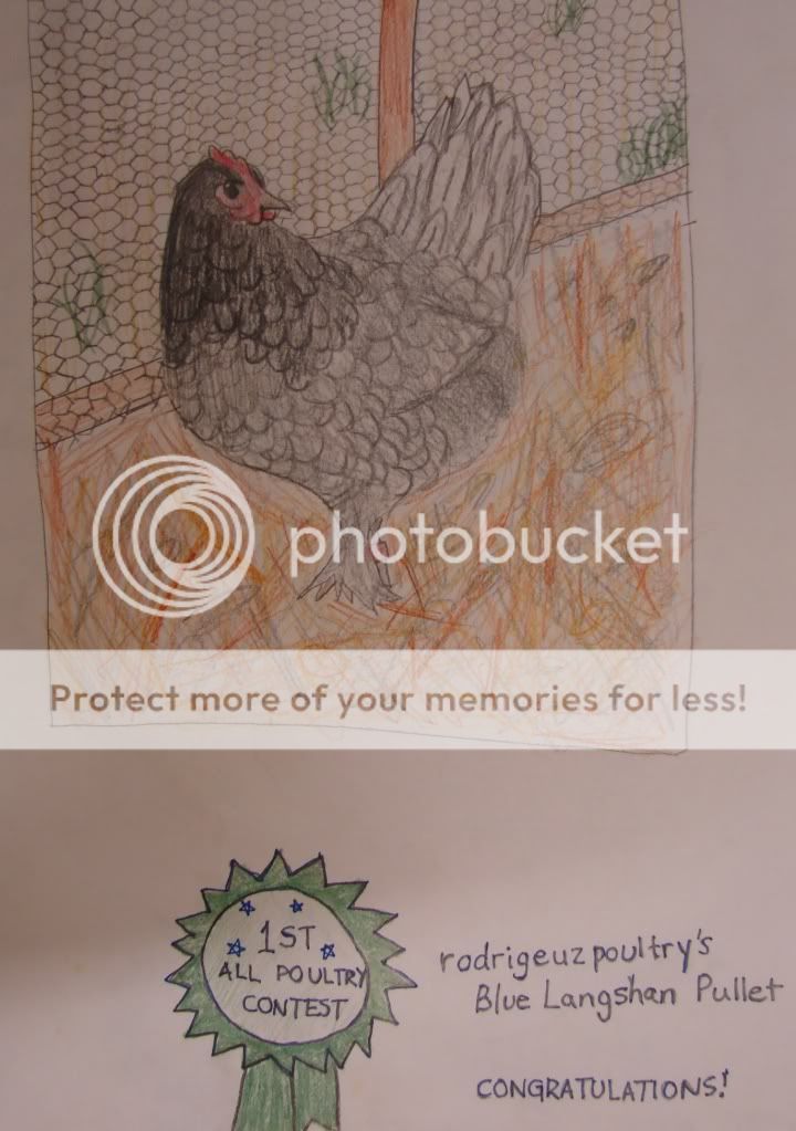 bluepullet-2.jpg