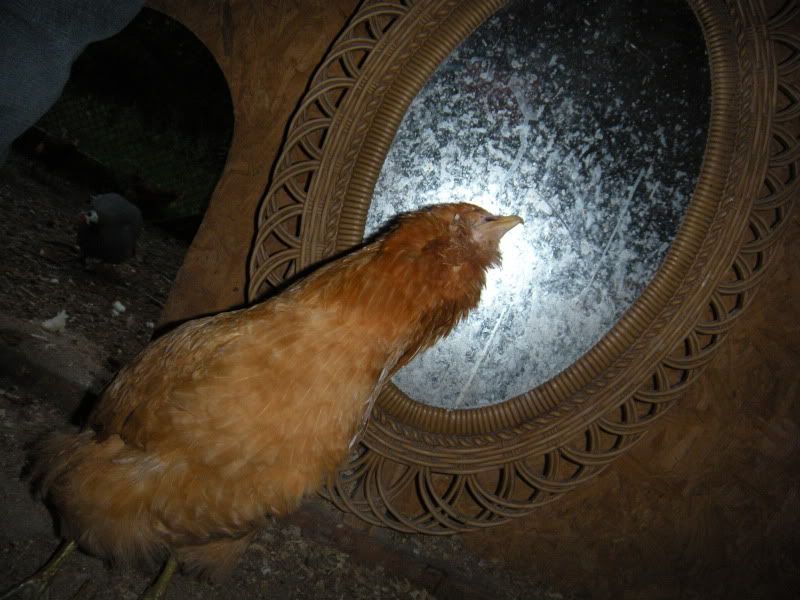 radar4.jpg