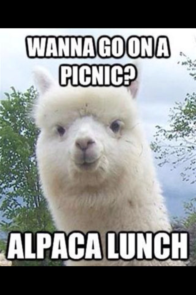 3b38a106ffbbd9bdd7f5feaccbcd8bee.jpg
