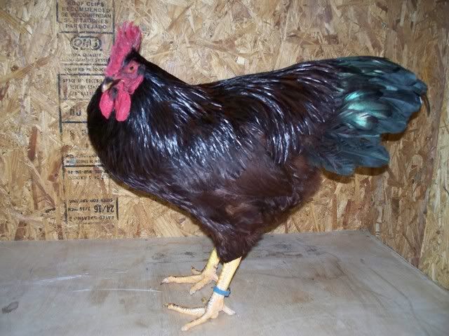 257.jpg