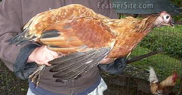 Guin-henYearLater.JPEG