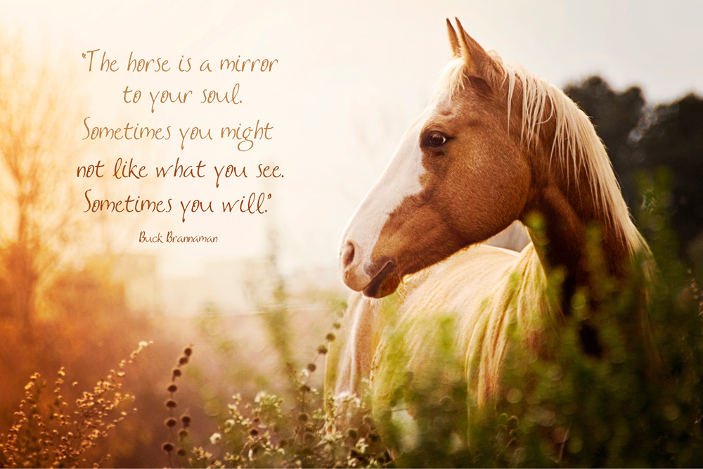 mirror-quote-ps.jpg