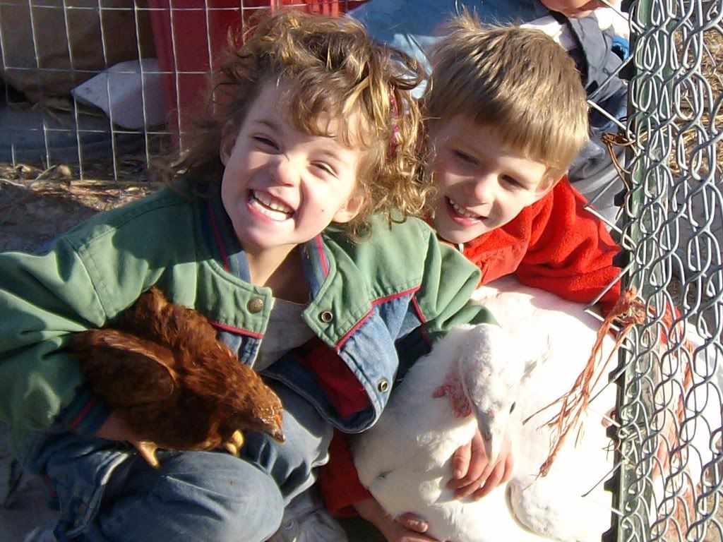 babygoatsforsure-37.jpg