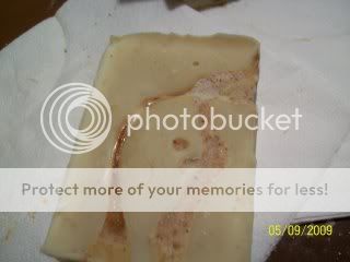 100_2484.jpg