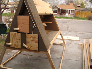 chickencoop22.JPG