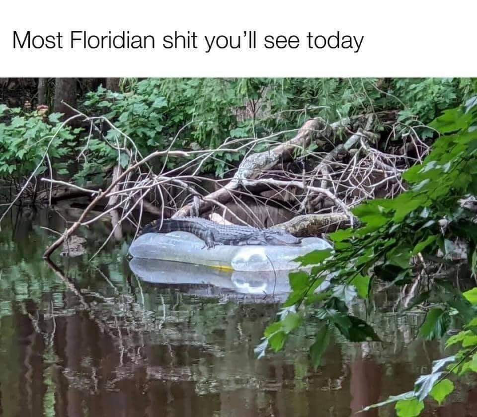 e2f5d31b231f6d0d3da6959d938562de.jpg