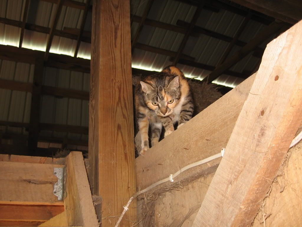 4-12-08374.jpg