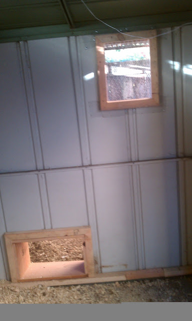 IMAG0823.jpg
