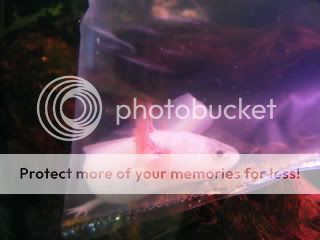 DSCF1075.jpg
