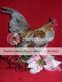christmaschicks036.jpg