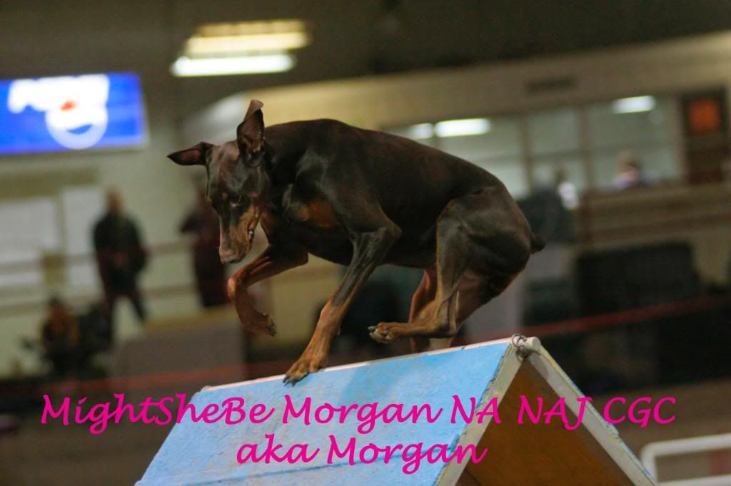 Morgan.jpg
