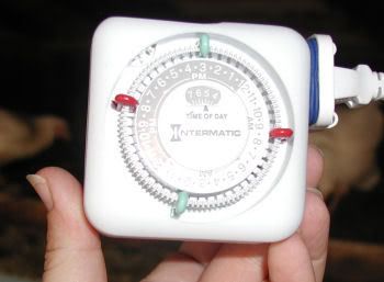 timer1.jpg