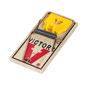 victor-pro-mouse-trap-m325.jpg