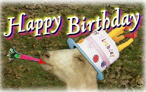 1376021124_4_FT189686_birthdaygoat1.gif