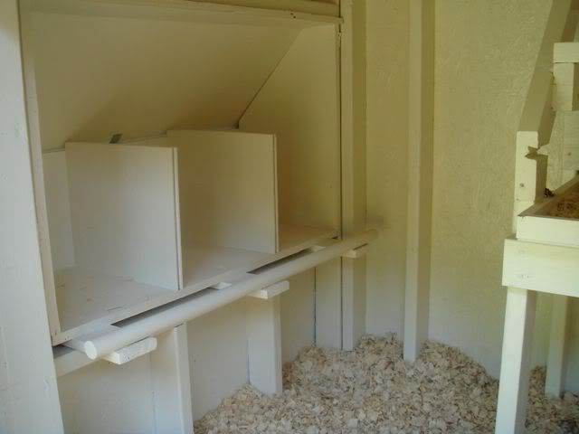 LastImport-7.jpg