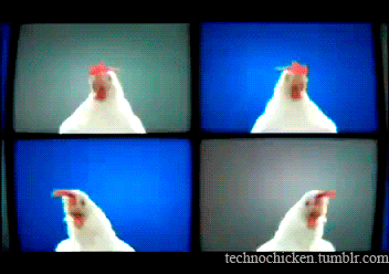 1314078204_ik0pna.gif